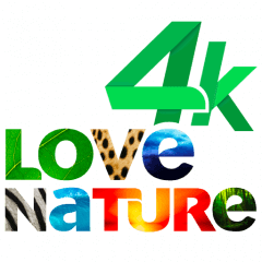 Love Nature 4K
