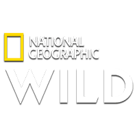 Nat Geo Wild